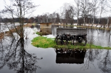 Überschwemmtes Vossmoor bei Elbeoberhochwasser im Februar 2011