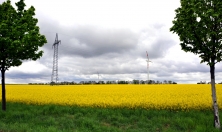 Strommast, Windkraftanlage, Rapsfeld