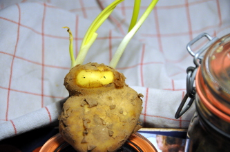 Kartoffel Zwiebelkeime Einmachgläser Kartoffeln, Rote Bete und konserviertes Fleisch sind die Hauptzutaten fürs Labskaus.