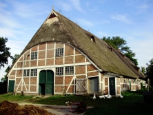 historischer Bauernhof Hamburg Vierlanden Hof Eggers in der Ohe Scheune Gänse