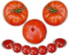 Vierländer Platte und die kleine Ruby Vierländer Platte und die milde Ruth