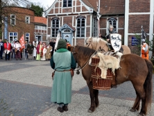 mittelalterliche Rotte, Pferde