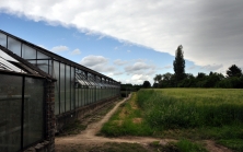 Wolkenformation, Gewächshäuser, Roggenfeld