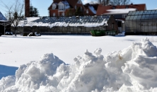 Schneehaufen, verschneite Wiese, Gewächshäuser